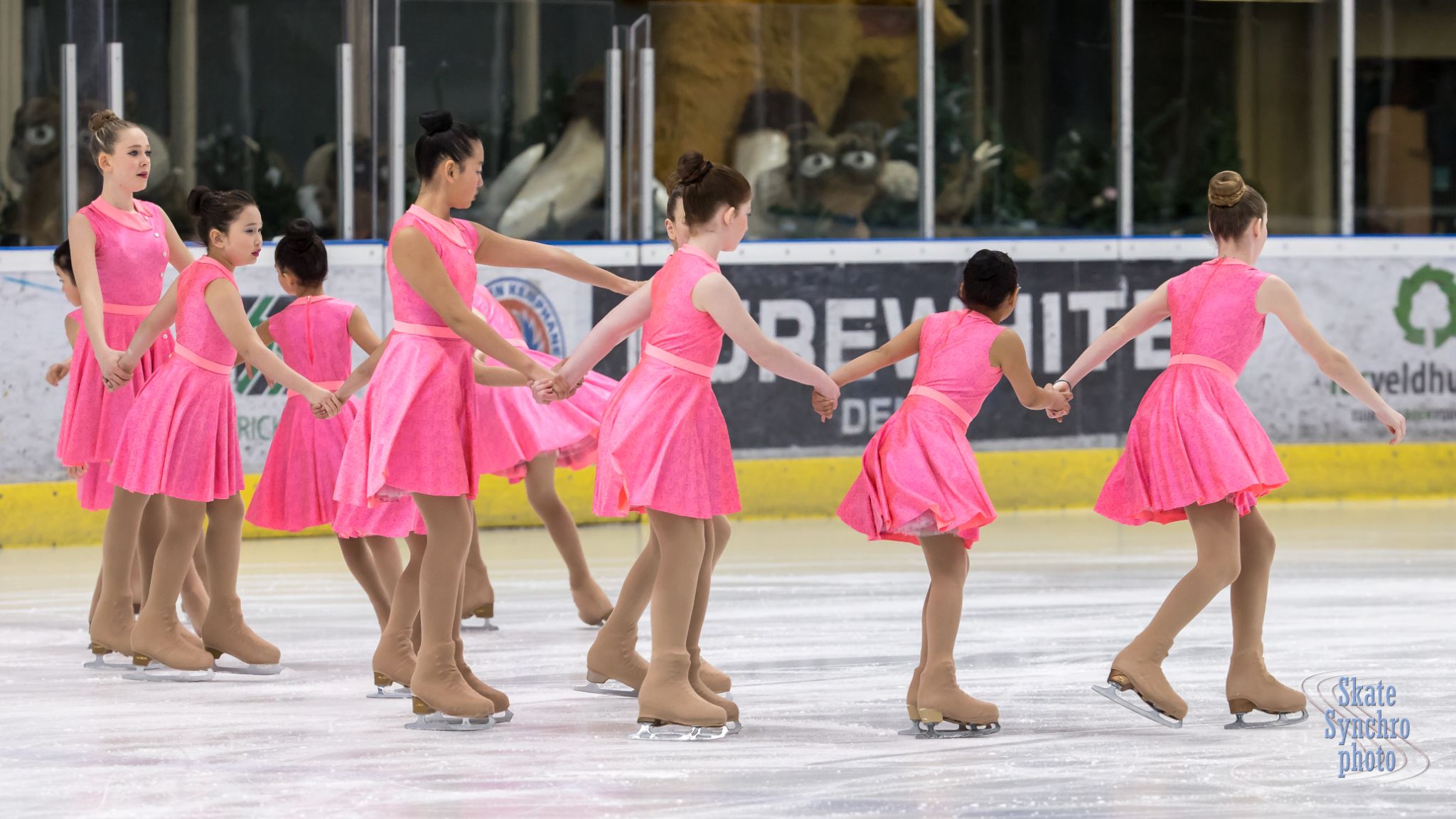 11 Prejuvenile 2 014